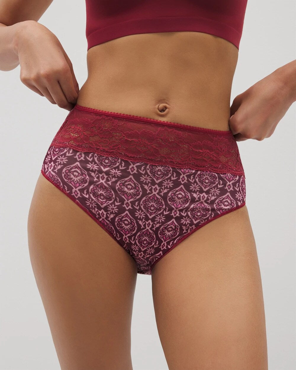 PLENTIFUL PIECES KISS - Vanishing Edge Microfiber Modern Brief Panty with Lace