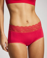 HEARTS DESIRE - Brief Panty with Enchanting Lace