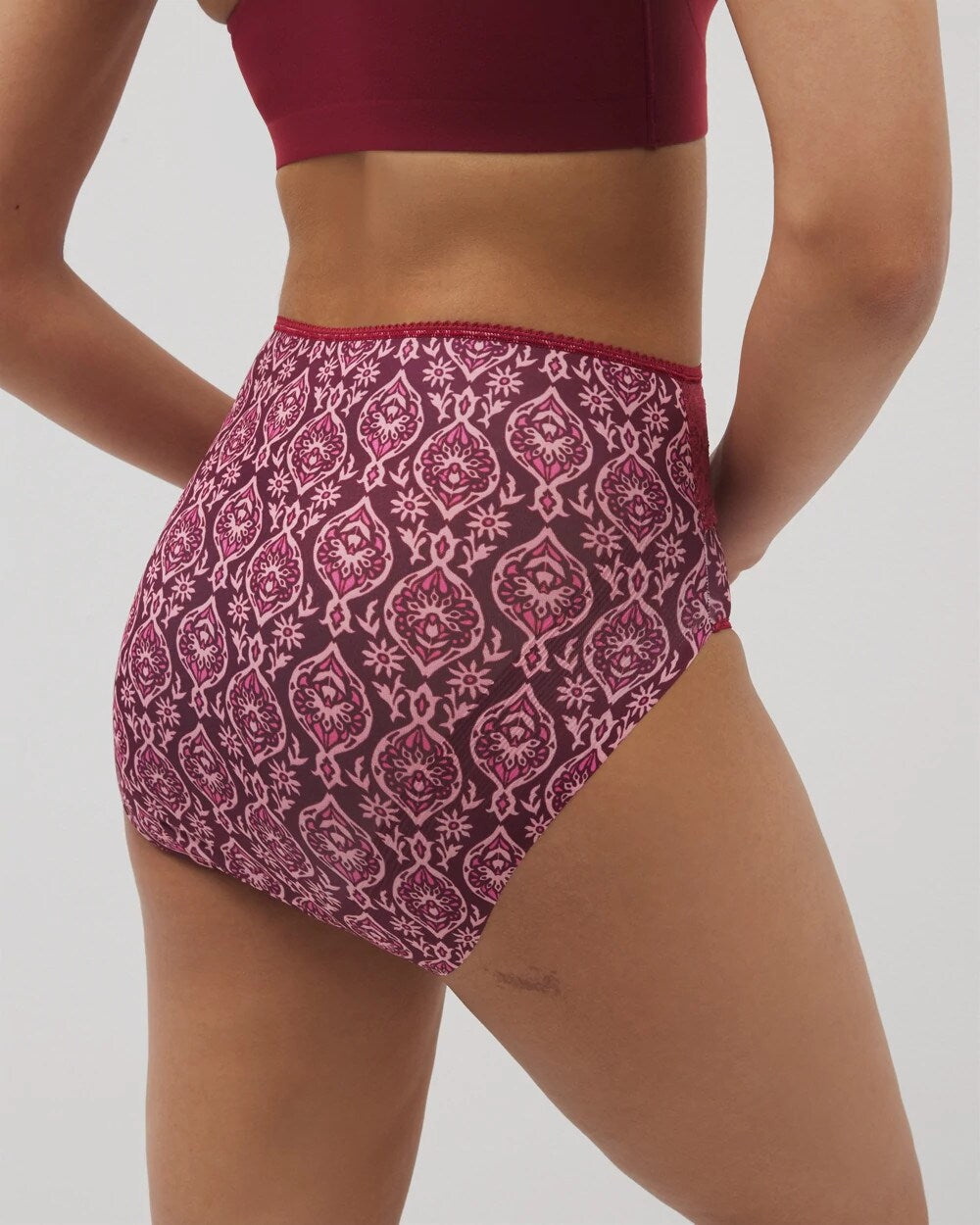 PLENTIFUL PIECES KISS - Vanishing Edge Microfiber Modern Brief Panty with Lace