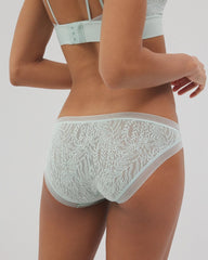HARBOR GREEN - Soma Bikini Panty with Stretch Lace