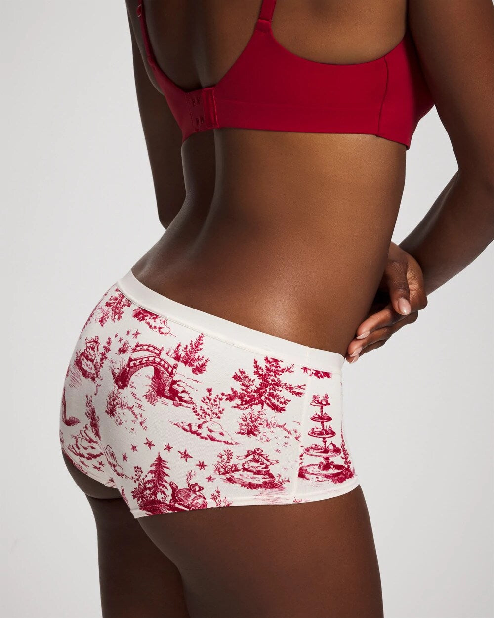 ENCHANTED TOILE CHAMPAGNE - Cotton Boyshort Panty